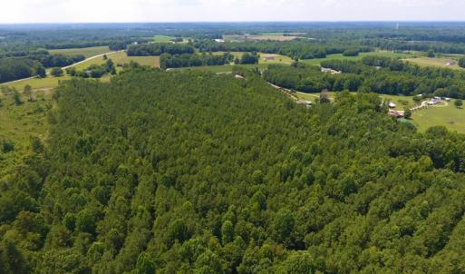 Photo of SOLD!  30 Acres of Hunting and Timber Land For Sale in Warren County NC!