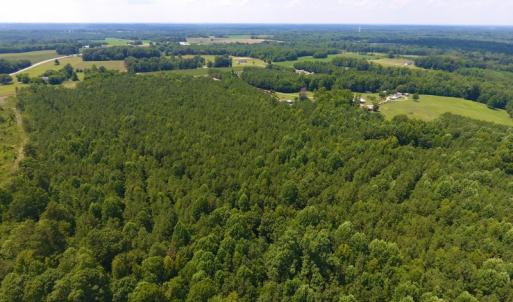 Photo of SOLD!  30 Acres of Hunting and Timber Land For Sale in Warren County NC!