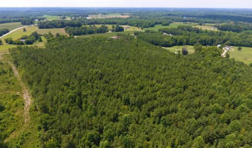 Photo of SOLD!  30 Acres of Hunting and Timber Land For Sale in Warren County NC!