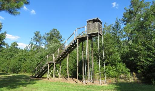 Photo of UNDER CONTRACT!  28 Acres of Hunting Land For Sale in Pender County NC!