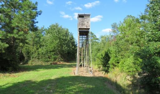 Photo of UNDER CONTRACT!  28 Acres of Hunting Land For Sale in Pender County NC!