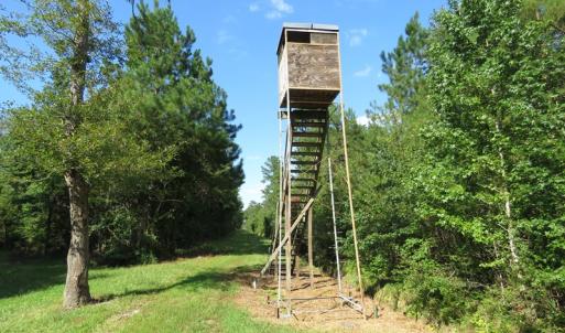 Photo of UNDER CONTRACT!  28 Acres of Hunting Land For Sale in Pender County NC!