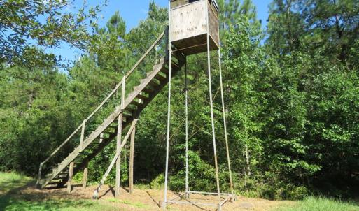 Photo of UNDER CONTRACT!  28 Acres of Hunting Land For Sale in Pender County NC!