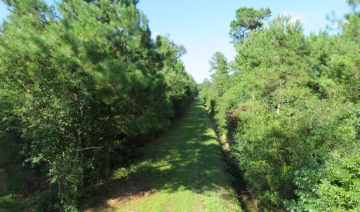 Photo of UNDER CONTRACT!  28 Acres of Hunting Land For Sale in Pender County NC!