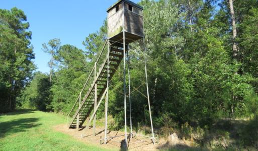 Photo of UNDER CONTRACT!  28 Acres of Hunting Land For Sale in Pender County NC!