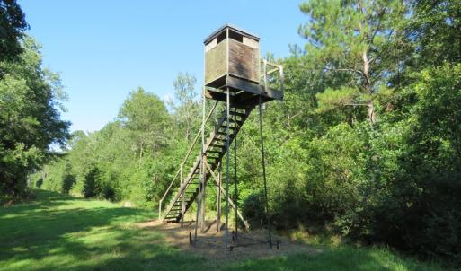 Photo of UNDER CONTRACT!  28 Acres of Hunting Land For Sale in Pender County NC!