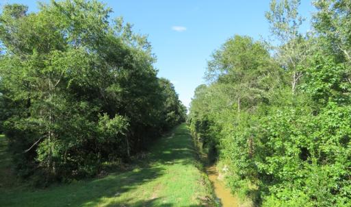Photo of UNDER CONTRACT!  28 Acres of Hunting Land For Sale in Pender County NC!