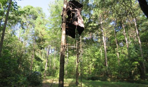 Photo of UNDER CONTRACT!  28 Acres of Hunting Land For Sale in Pender County NC!