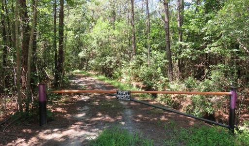 Photo of UNDER CONTRACT!  28 Acres of Hunting Land For Sale in Pender County NC!