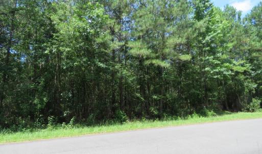 Photo of UNDER CONTRACT!  28 Acres of Hunting Land For Sale in Pender County NC!