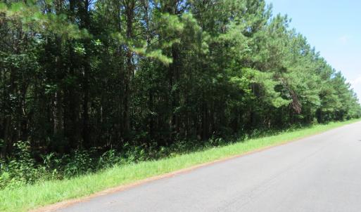 Photo of UNDER CONTRACT!  28 Acres of Hunting Land For Sale in Pender County NC!