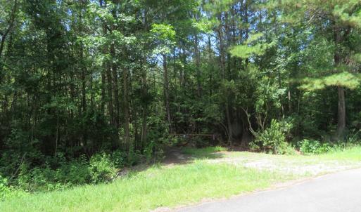 Photo of UNDER CONTRACT!  28 Acres of Hunting Land For Sale in Pender County NC!