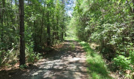 Photo of UNDER CONTRACT!  28 Acres of Hunting Land For Sale in Pender County NC!