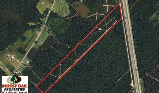 Photo of UNDER CONTRACT!  28 Acres of Hunting Land For Sale in Pender County NC!