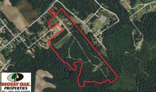 Photo of UNDER CONTRACT!  49 Acres of Hunting and Timber Land For Sale in Edgecombe County NC!