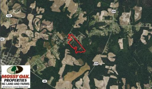 Photo of UNDER CONTRACT!  49 Acres of Hunting and Timber Land For Sale in Edgecombe County NC!