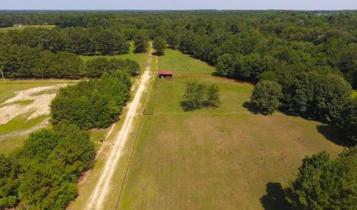 Photo of UNDER CONTRACT!  49 Acres of Hunting and Timber Land For Sale in Edgecombe County NC!