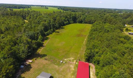 Photo of UNDER CONTRACT!  49 Acres of Hunting and Timber Land For Sale in Edgecombe County NC!