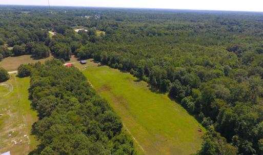 Photo of UNDER CONTRACT!  49 Acres of Hunting and Timber Land For Sale in Edgecombe County NC!