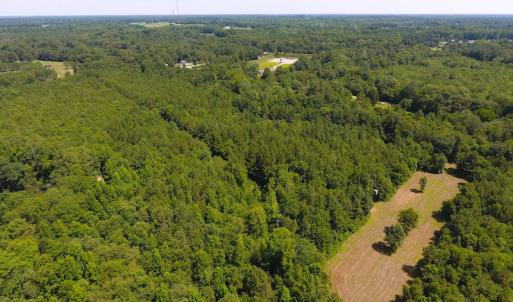 Photo of UNDER CONTRACT!  49 Acres of Hunting and Timber Land For Sale in Edgecombe County NC!