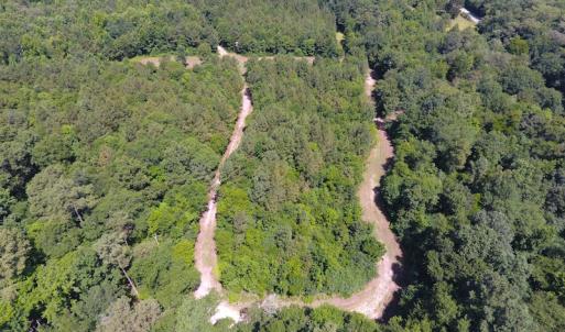 Photo of UNDER CONTRACT!  49 Acres of Hunting and Timber Land For Sale in Edgecombe County NC!