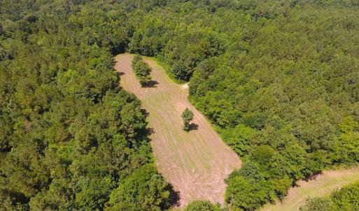 Photo of UNDER CONTRACT!  49 Acres of Hunting and Timber Land For Sale in Edgecombe County NC!