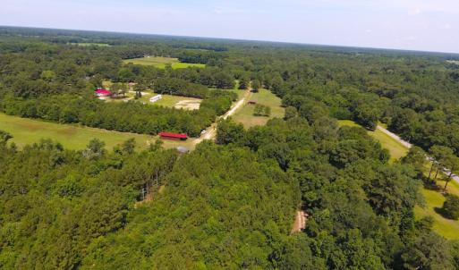 Photo of UNDER CONTRACT!  49 Acres of Hunting and Timber Land For Sale in Edgecombe County NC!