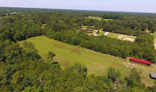 Photo of UNDER CONTRACT!  49 Acres of Hunting and Timber Land For Sale in Edgecombe County NC!