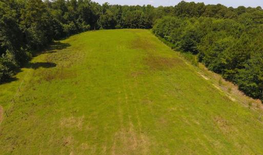 Photo of UNDER CONTRACT!  49 Acres of Hunting and Timber Land For Sale in Edgecombe County NC!