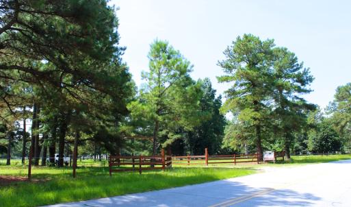 Photo of UNDER CONTRACT!  49 Acres of Hunting and Timber Land For Sale in Edgecombe County NC!