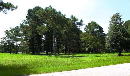 Photo of UNDER CONTRACT!  49 Acres of Hunting and Timber Land For Sale in Edgecombe County NC!