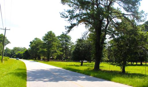 Photo of UNDER CONTRACT!  49 Acres of Hunting and Timber Land For Sale in Edgecombe County NC!