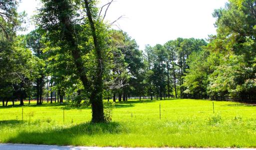 Photo of UNDER CONTRACT!  49 Acres of Hunting and Timber Land For Sale in Edgecombe County NC!