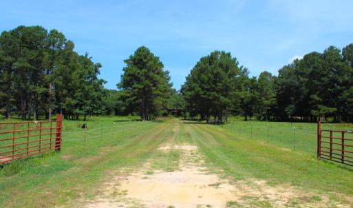 Photo of UNDER CONTRACT!  49 Acres of Hunting and Timber Land For Sale in Edgecombe County NC!