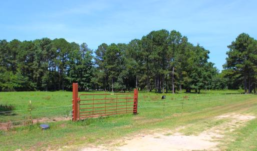 Photo of UNDER CONTRACT!  49 Acres of Hunting and Timber Land For Sale in Edgecombe County NC!