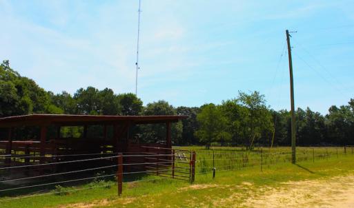 Photo of UNDER CONTRACT!  49 Acres of Hunting and Timber Land For Sale in Edgecombe County NC!