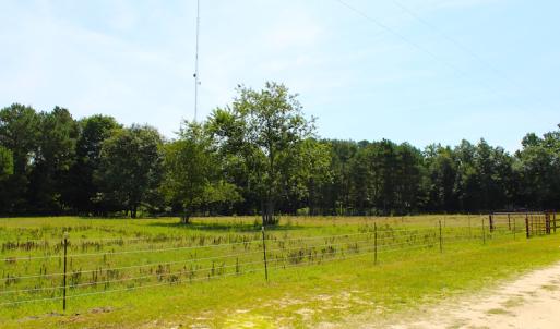 Photo of UNDER CONTRACT!  49 Acres of Hunting and Timber Land For Sale in Edgecombe County NC!