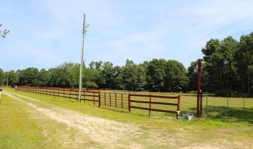 Photo of UNDER CONTRACT!  49 Acres of Hunting and Timber Land For Sale in Edgecombe County NC!