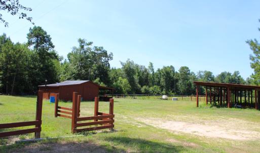 Photo of UNDER CONTRACT!  49 Acres of Hunting and Timber Land For Sale in Edgecombe County NC!