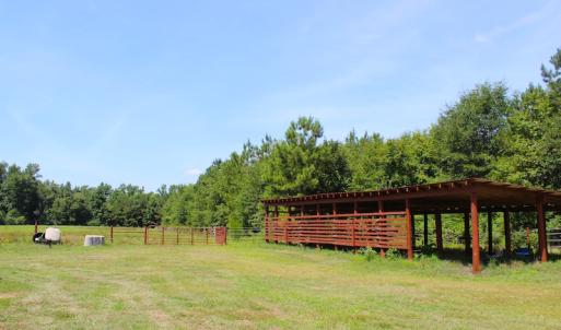 Photo of UNDER CONTRACT!  49 Acres of Hunting and Timber Land For Sale in Edgecombe County NC!