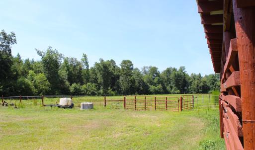 Photo of UNDER CONTRACT!  49 Acres of Hunting and Timber Land For Sale in Edgecombe County NC!