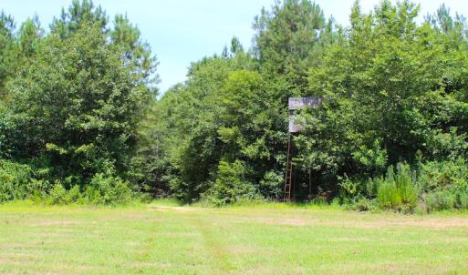 Photo of UNDER CONTRACT!  49 Acres of Hunting and Timber Land For Sale in Edgecombe County NC!