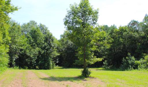 Photo of UNDER CONTRACT!  49 Acres of Hunting and Timber Land For Sale in Edgecombe County NC!