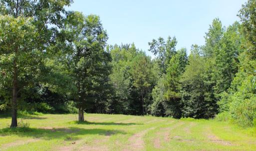 Photo of UNDER CONTRACT!  49 Acres of Hunting and Timber Land For Sale in Edgecombe County NC!