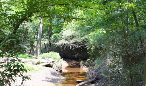 Photo of UNDER CONTRACT!  49 Acres of Hunting and Timber Land For Sale in Edgecombe County NC!