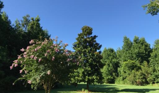 Photo of SOLD!  4 Acres of Waterfront Residential and Recreational Land For Sale in Camden County NC!