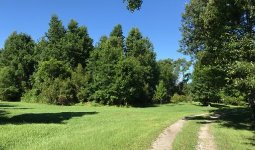 Photo of SOLD!  4 Acres of Waterfront Residential and Recreational Land For Sale in Camden County NC!