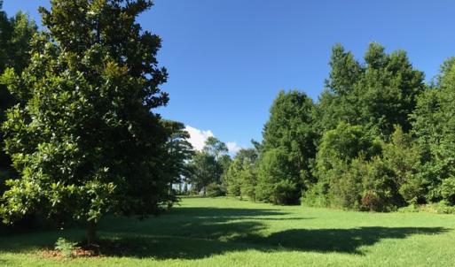 Photo of SOLD!  4 Acres of Waterfront Residential and Recreational Land For Sale in Camden County NC!