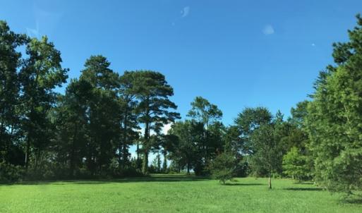 Photo of SOLD!  4 Acres of Waterfront Residential and Recreational Land For Sale in Camden County NC!