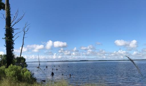Photo of SOLD!  4 Acres of Waterfront Residential and Recreational Land For Sale in Camden County NC!